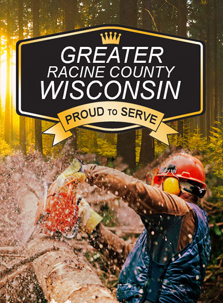 tree work being done by a professional tree worker in Racine County Wisconsin